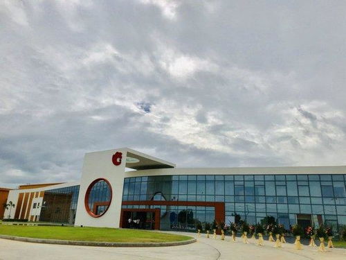 洽洽開啟堅果品牌全球化新征程，今娛生活引領(lǐng)健康休閑新風尚